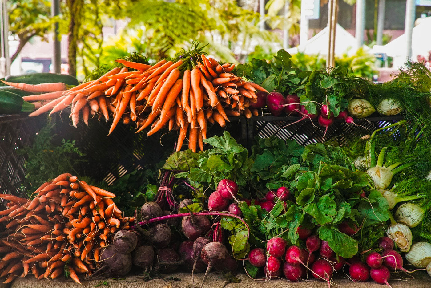 Shopping for seasonal produce