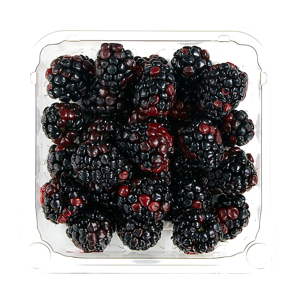 Blackberries