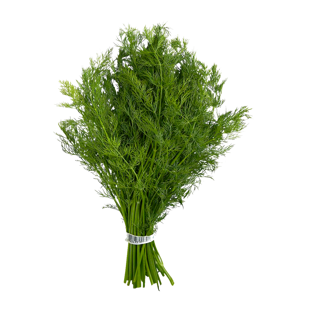 Organic Dill